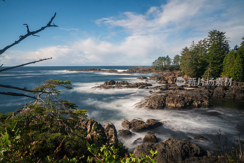 Ucluelet BC海景温哥华岛